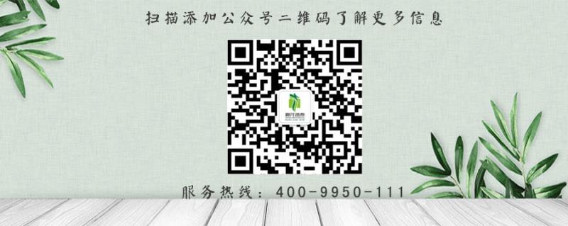 瀝青膠泥，